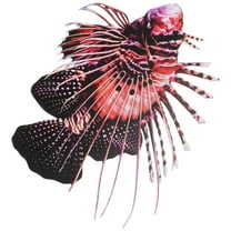 HONMEET Fish Wall Hanging Metal Sculpture Art Decor for Home, Office, Living Room, Nautical Theme Decoration