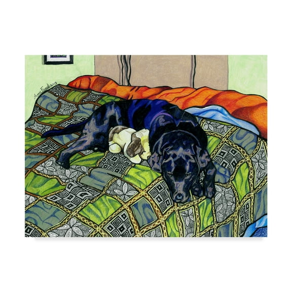 Trademark Fine Art 'Starsky' Canvas Art by Amy Frank