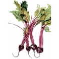 thumbnail image 3 of Willett, Michael 11x14 Black Modern Framed Museum Art Print Titled - Watercolor Beets, 3 of 5