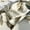 Beige, variant on 100% Mulberry Silk Neck Scarf Long Ribbon Women Neckerchief Double Sided 6"x57"-Gray