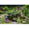 thumbnail image 3 of Aquascape 45 mil EPDM Pond Liner, 3 of 11
