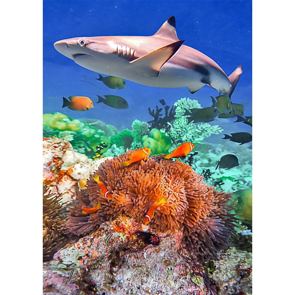Coral Reef - 3 3D Magnet for Refrigerator, Whiteboard, Locker