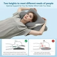 thumbnail image 2 of Poalid Orthopedic Cervical Pillow for Side Sleepers, Ergo Memory Foam Pillow for Neck Pain, Ergonomic Contour Support, Dual-Height Ergonomic Support For All Sleeping Positions, 2 of 8