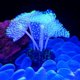 thumbnail image 4 of Adorno de Coral Artificial para acuario, adorno de Coral brillante Artificial, decoración para pecera, decoraciones para pecera resplandeciente, 5 uds., 4 of 5