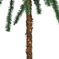 thumbnail image 4 of Northlight 6' Pre-Lit Artificial Tropical Outdoor Patio Palm Tree - Clear Lights, 4 of 6
