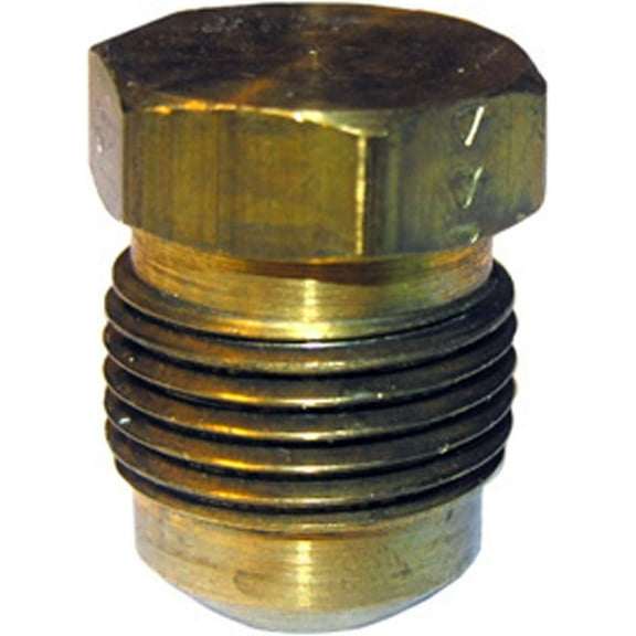 LASCO 17-3921 5/16-Inch Brass Flare Plug