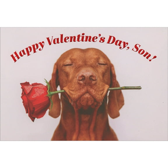 Pictura Brown Dog with Closed Eyes Holding Rose in Mouth Valentine's Day Card for Son