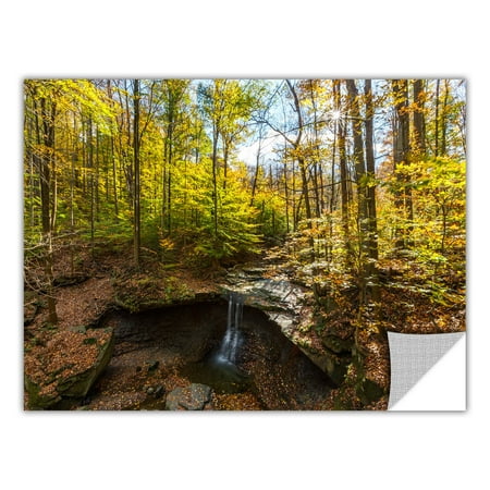 Brushstone Blue Hen Falls Wall Art Decal