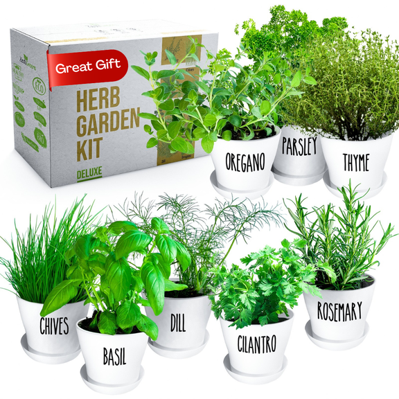 Deluxe Herb Garden Kit - 8 Variety Herbs for Indoor & Outdoor – Get Growing with Pots, Potting Soil for Window Herb Garden. (8 Set Deluxe herb kit)