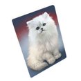 thumbnail image 1 of Persian Cat Blanket BLNKT51051, 1 of 3