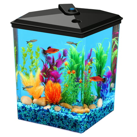 Aqua Culture 2.5-Gallon Corner Aquarium Kit, 12.3" x 9.4 ...