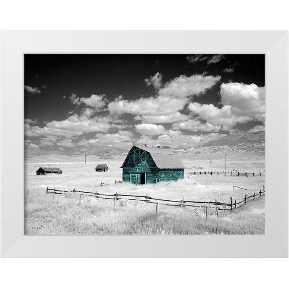 Sophie 6 14x12 White Modern Wood Framed Museum Art Print Titled - Aqua Barn