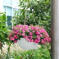 thumbnail image 5 of PPgejGEK Small Hanging Rattan Basket Planter Water Barrier Design Root Rot Prevention Wall Mount Garden Home Decor, 5 of 6