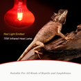 thumbnail image 2 of czcpp-75W Ampoule Chauffante Infrarouge pour Reptiles, Lumière Rouge UVA pour Reptiles et Amphibiens, Dragon Barbu, Tortue, Gecko, Serpent, Lézard, Caméléon - Lot de 2, 2 of 4