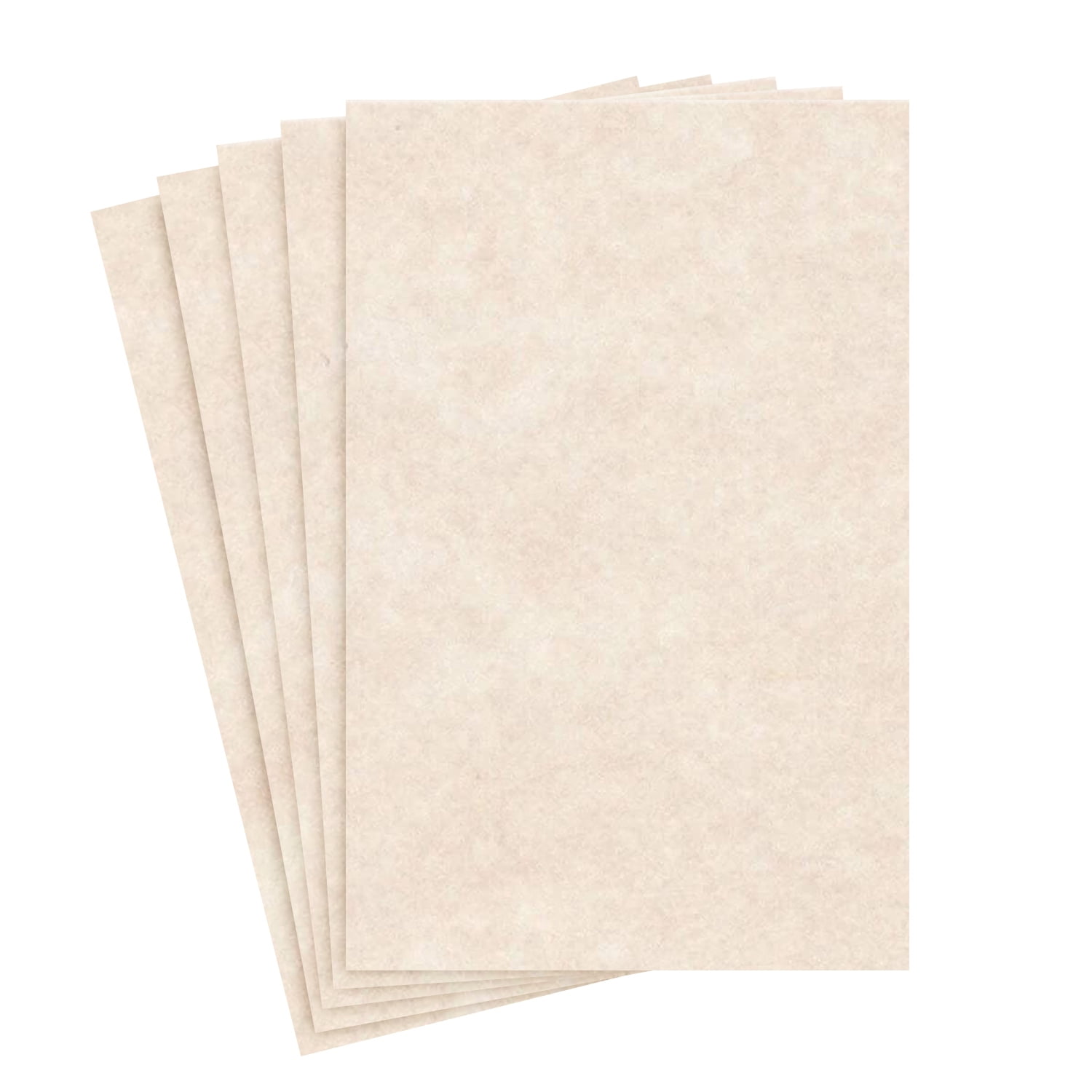 Color Card Stock Paper Cream 50 Sheets Per Pack 11 x 17 
