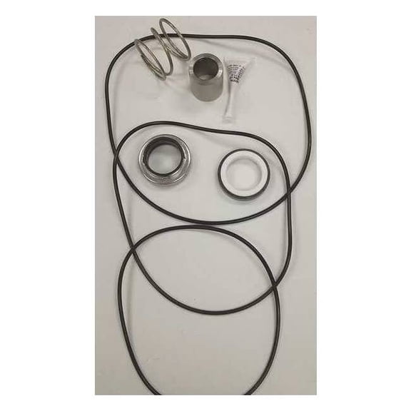 Goulds Seal Repair Kit RPK3656S