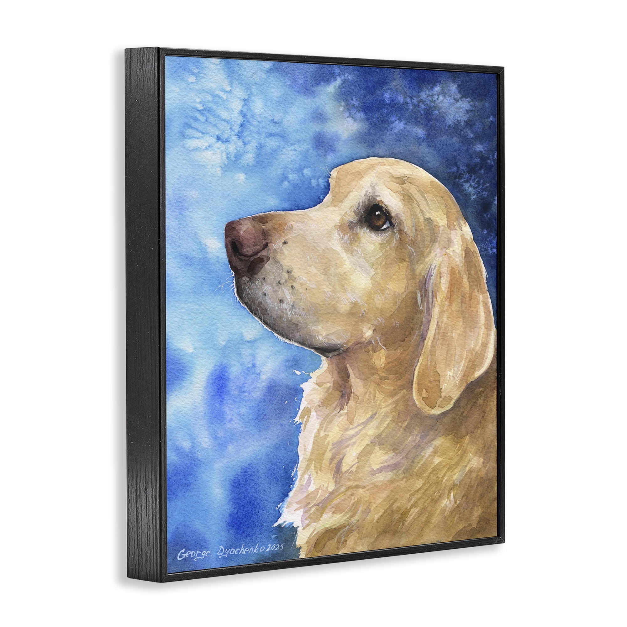 Stupell Industries Golden Retriever Portrait on Azure Black Framed Giclee Art, design by George Dyachenko