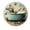 FFclock066, variant on ZXCXRQFa Silent Clocks Forest Wooden House Colorful Theme Battery Operated Silent Wall Clock Decor for Home, Kitchen, Living Room, Office, Bedroom, or Bathroom (10 Inch）