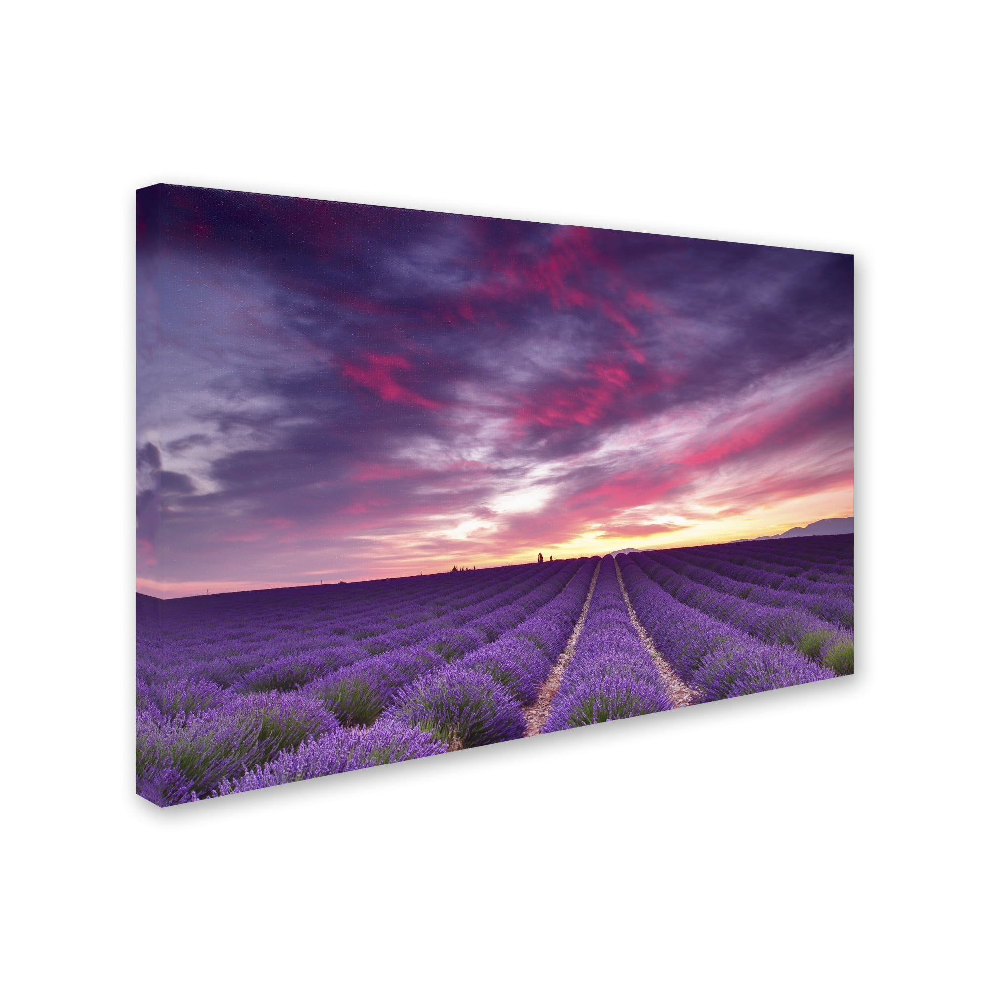 Trademark Fine Art 'Pink and Purple' Canvas Art by Michael Blanchette Photography