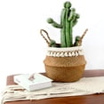 thumbnail image 4 of QUTETN Woven Seagrass Plant Basket - Wicker Belly Basket Planter Indoor with Plastic Liner and Handles Natural Plant Pot for Fiddle Leaf Fig Tree Snake Plant and Monster, 4 of 5