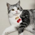 thumbnail image 1 of CHOK Beautiful Cat Necklace Attractive   for Puppy   Easy-wearing, 1 of 7