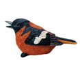 thumbnail image 1 of Michael Carr Oriole Chirper, 1 of 1