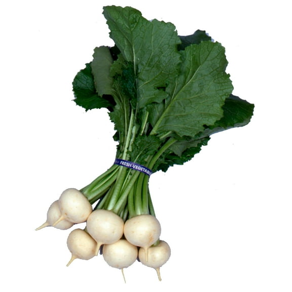 Turnip Seeds - Kanamachi - 3 g Packet ~970 Seeds - Non-GMO, Heirloom - Asian Garden Vegetable & Microgreens