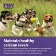 thumbnail image 5 of PRN Pharmacal Calsorb - Calcium Nutritional Supplement to Help Maintain Healthy Calcium Levels in Dogs - Gel-Based Dog Nutritional Supplement in an Easy-to-Use Syringe - 12 mL Syringe (3 Packs), 5 of 5