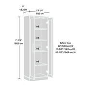 Sauder HomePlus Storage Cabinet, Pacific Maple Finish