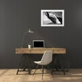 thumbnail image 3 of Phillip, Jamie 14x11 White Modern Wood Framed Museum Art Print Titled - Black Whale, 3 of 4