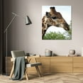 thumbnail image 3 of Dana Underdahl 36x44 Gallery Wrapped Canvas Wall Art Titled - Giraffe Portrait IV, 3 of 4