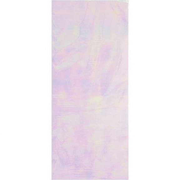 120/Case Bulk Iridescent Party Favor Bags