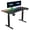 Black, variant on GTPLAYER Dual Motor Electric Standing Desk 55 x 28 Inch, Height Adjustable Desk with LED Lights & 2 Memory Presets, Sit Stand Desk for Home Office,White