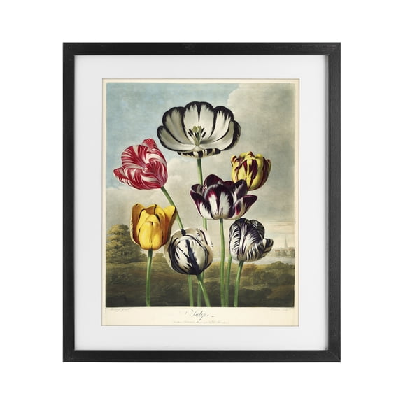 Stupell Industries Tulips From The Temple Black Framed Print Under Glass, design by Print Collection
