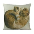 thumbnail image 1 of Cat |  Cat Sleeping Curled up | Cat Pillow | Cute Cat | Cat Gifts | Cat Decor | Cat Photo | Gifts for Cat Lovers | Throw Pillow Covers, 1 of 4