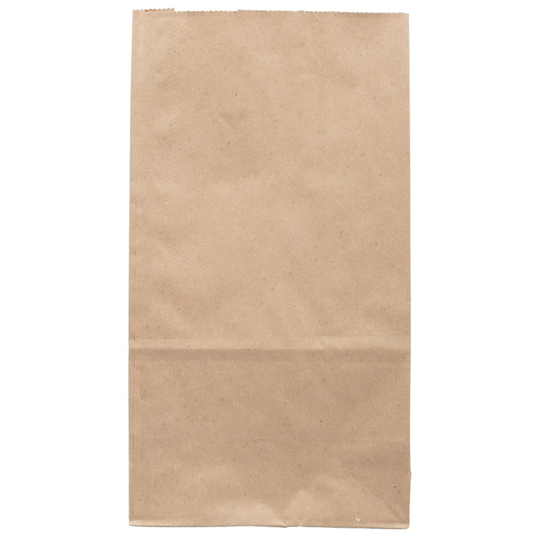 Jam Paper Kraft Lunch Bags, 6 x 11 x 3.75, White, 500/Box, Large