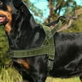 thumbnail image 6 of Pawly Lab Co No-Pull Harness, Reflective Adjustable Breathable Mesh Pet Vest, Easy On-Off Soft Padded Harness for Dogs, Front-Chest Attachment for Better Leash Manners (Black), 6 of 8