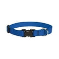 thumbnail image 2 of LupinePet Basics 3/4" Blue 13-22" Adjustable Collar for Medium and Larger Dogs, 2 of 2