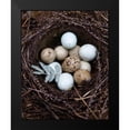 thumbnail image 2 of Soderman, Tania 12x14 Black Modern Framed Museum Art Print Titled - Winter Nest Detail I, 2 of 5