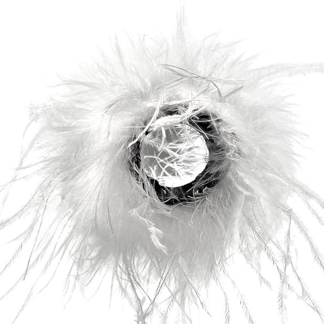 Puños de plumas de avestruz, elegantes puños de plumas, muñequera, pulsera de bofetada, pulsera, calentador de brazos de plumas para mujer