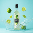 thumbnail image 5 of 1883 Lime Syrup cs 6/1 ltr, 5 of 5