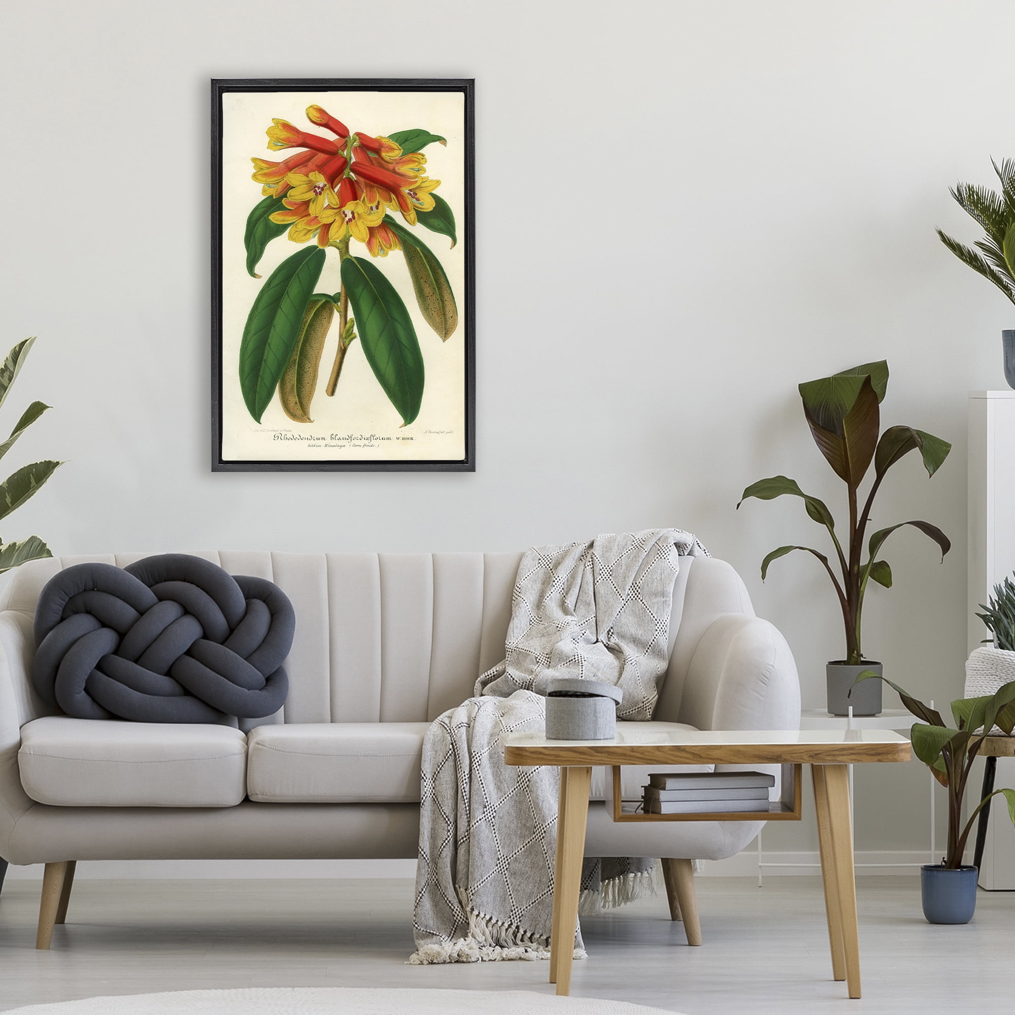 Stupell Industries Orange Yellow Rhododendron Black Framed Floater Canvas Wall Art, design by Print Collection