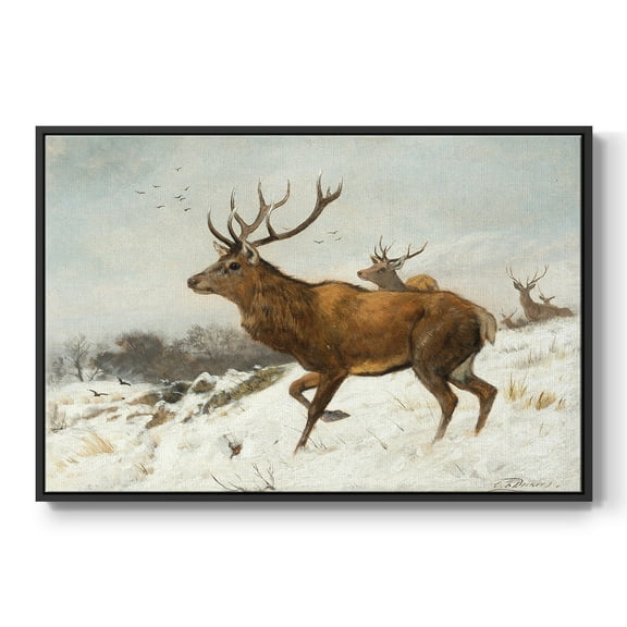 Vintage Animal Print-V By Wexford Home Framed in Black Wood Gallery Wrapped Canvas 17 in. x 25 in.
