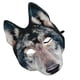 thumbnail image 2 of Máscaras de cabeza de lobo de Halloween, máscaras de hombre lobo aterradoras de EVA Máscara de animal 3D Máscara de cara de lobo realista para accesorios de fiesta de disfraces de Halloween, 2 of 6