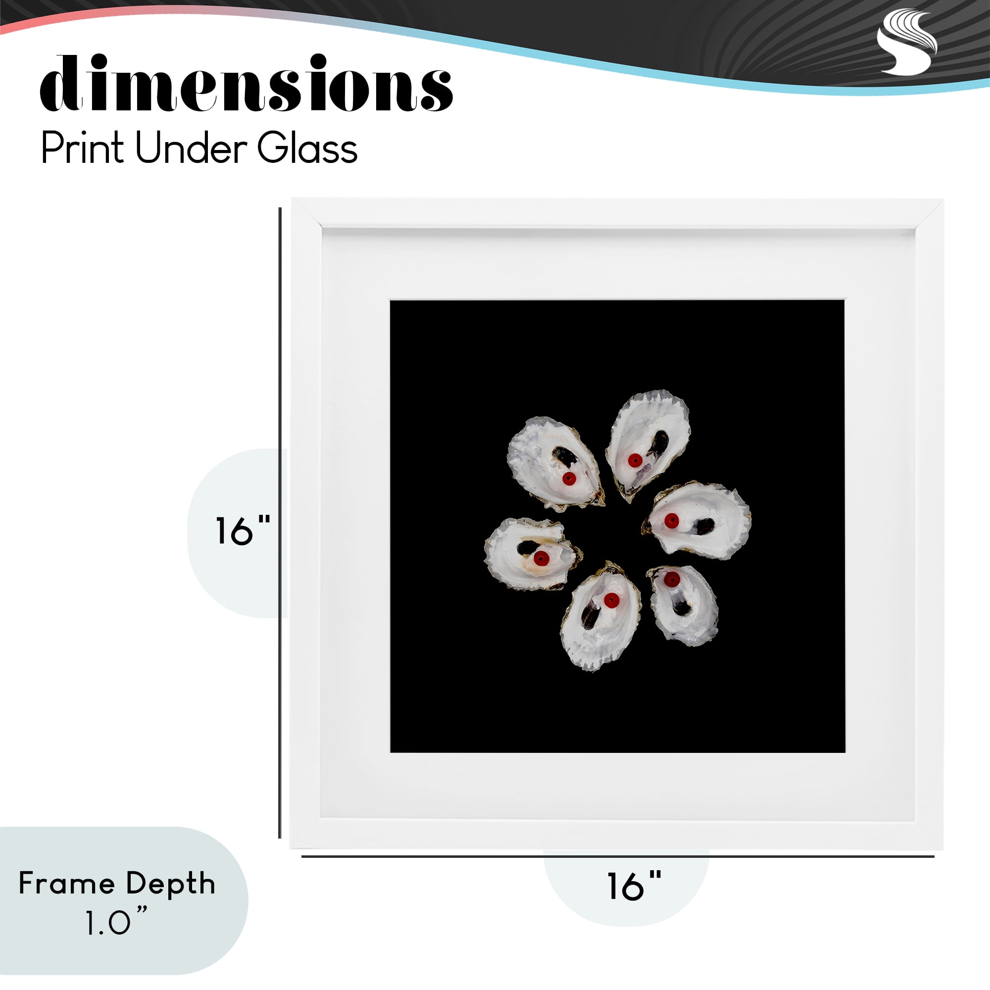 Stupell Industries Oyster Shells Symmetry White Framed Print Under Glass, design by Beth Adoette