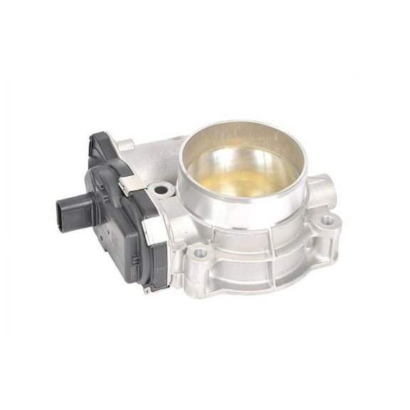 Fuel Injection Throttle Body