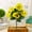 Yellow, variant on Pompotops Outdoor Artificial Pansy Flowers, Wedding Photography, Scenery, Artificial Flowers, Butterflys Flowers Clearance