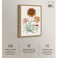 thumbnail image 3 of Art Remedy Botanical Prints Canvas, 16" x 24", Gold Frame, Gorteria Diffusa, 3 of 7