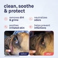thumbnail image 2 of Petpost Bulldog Wrinkle Wipes - 100 Pre-Soaked Cotton Pads with Coconut Oil & Aloe - Gentle Cleanser for Pug, Bulldog & Wrinkly Breed Folds, 2 of 9
