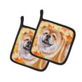 thumbnail image 1 of Carolines Treasures BB9956PTHD Cane Corso Automne Paire de Porte-Pots, 1 of 1